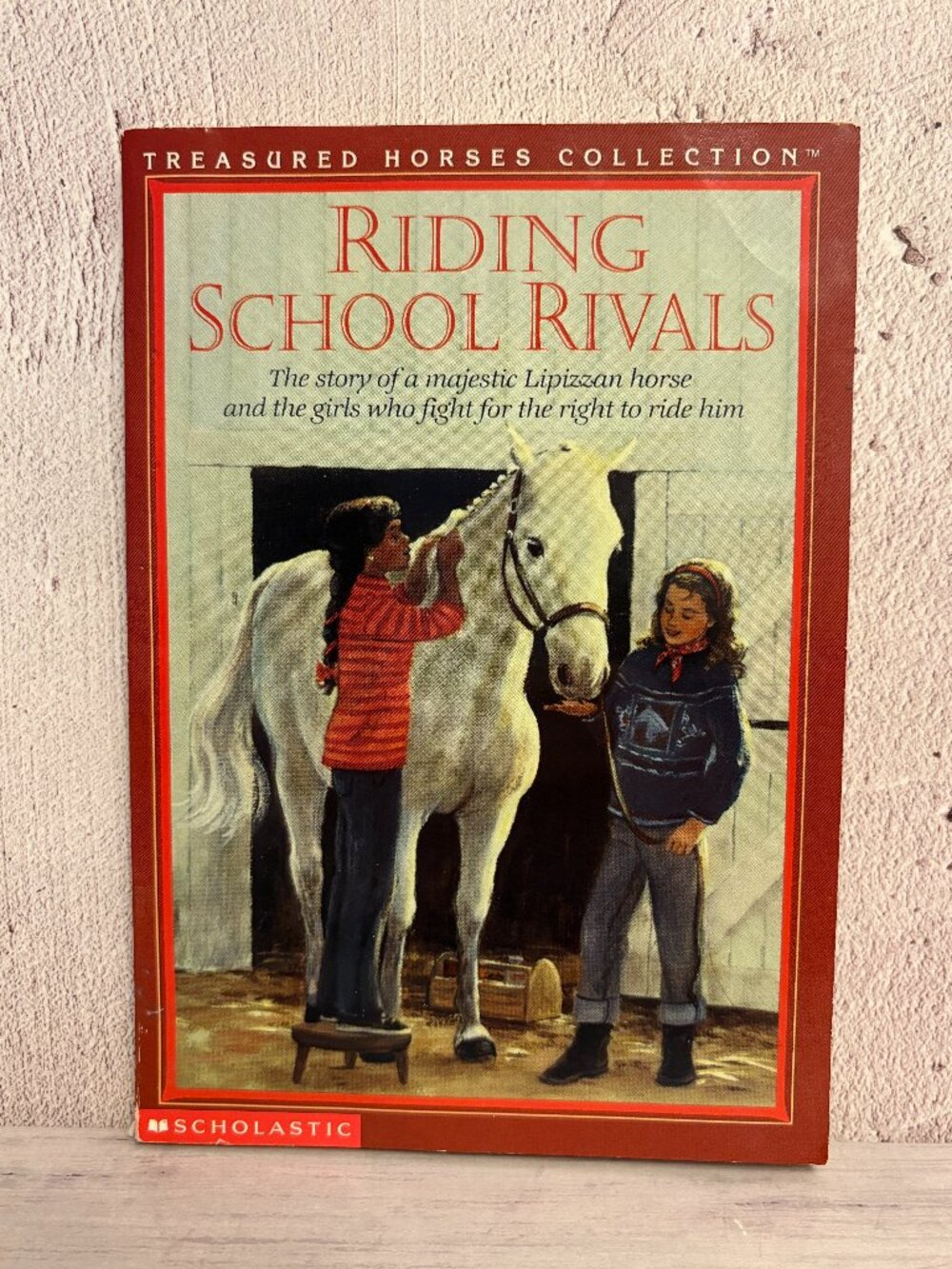5 for $15📕Treasured Horses Collection: Riding School Rivals Book (SKU: 328MI)